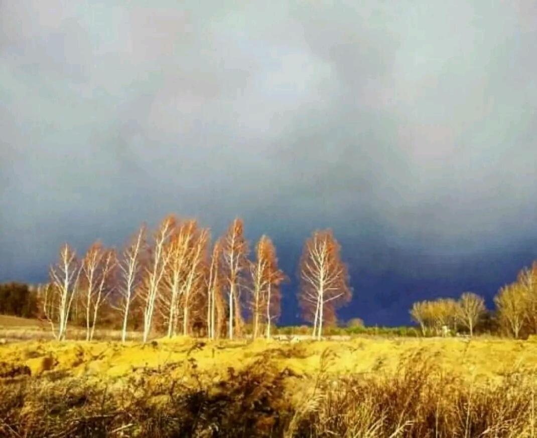 Gospodarstwo Zaborski Sad Bagian luar foto