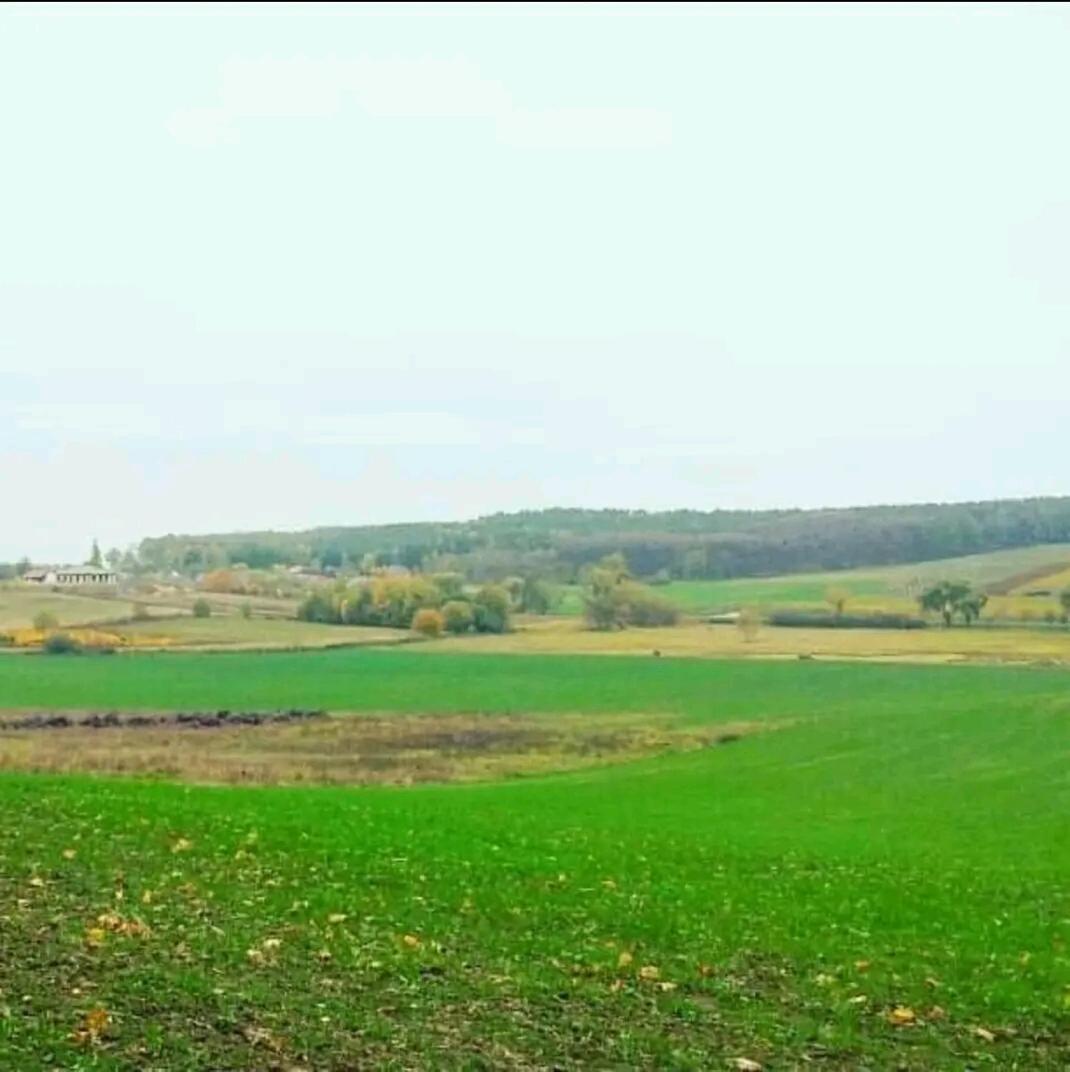 Gospodarstwo Zaborski Sad Bagian luar foto