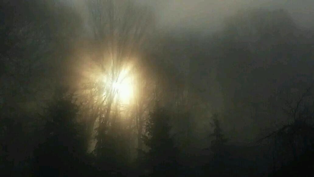 Gospodarstwo Zaborski Sad Bagian luar foto