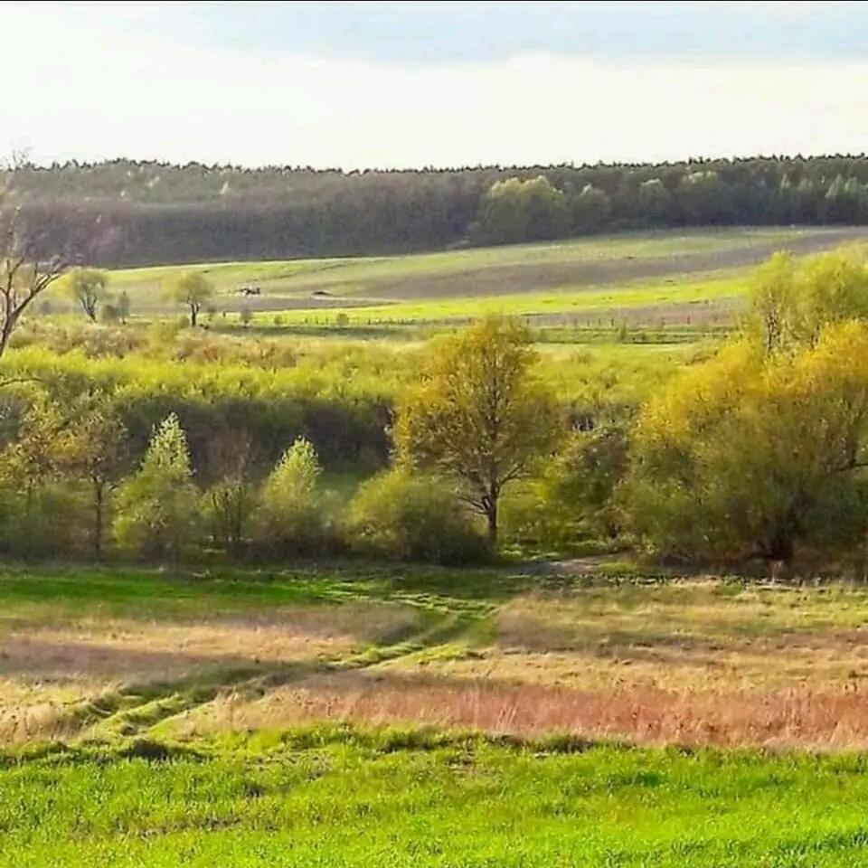Gospodarstwo Zaborski Sad Bagian luar foto