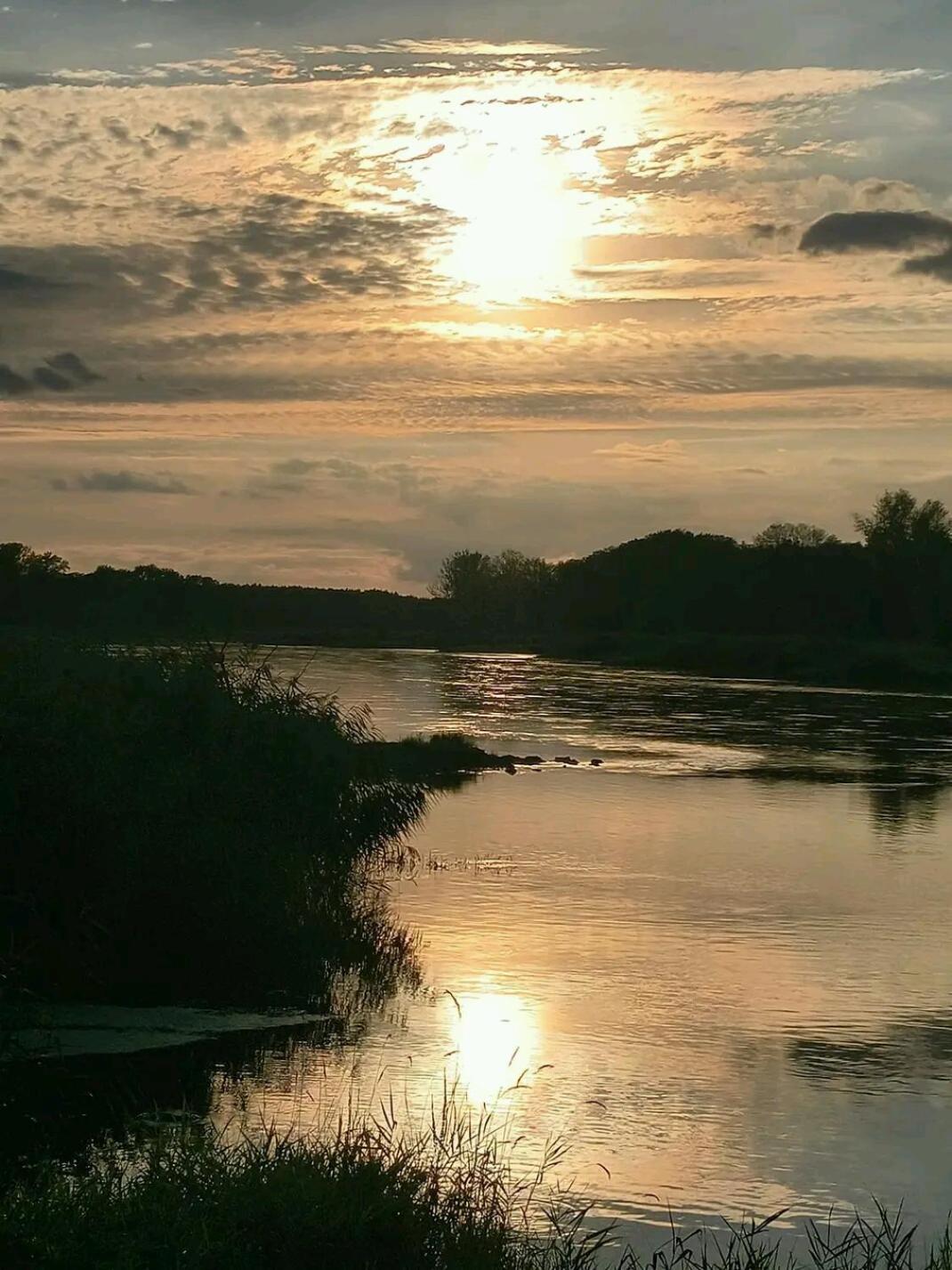 Gospodarstwo Zaborski Sad Bagian luar foto